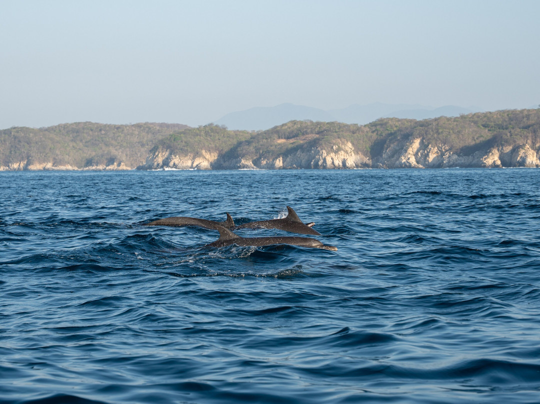 Costaventura Huatulco-瓦图尔科必去景点