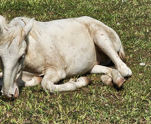 The C Resort & Residences主图