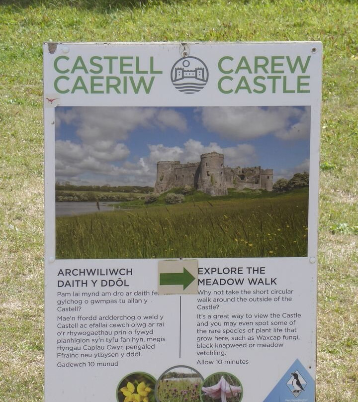 Carew Castle & Tidal Mill-Carew必去景点