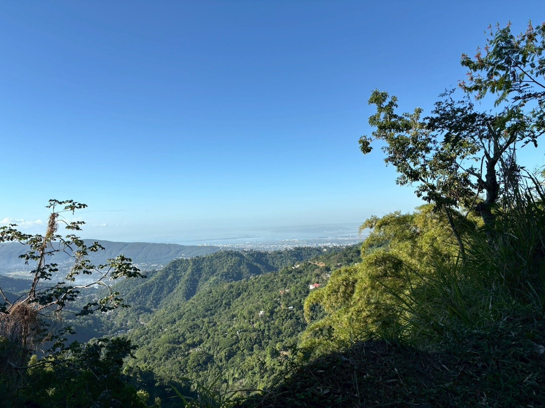 LivUp Jamaica Tours-内格里尔必去景点