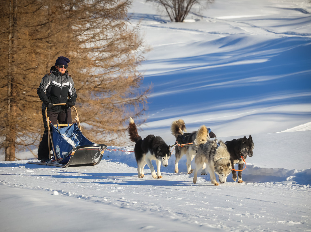The Husky Experience Sestriere-Sestriere必去景点