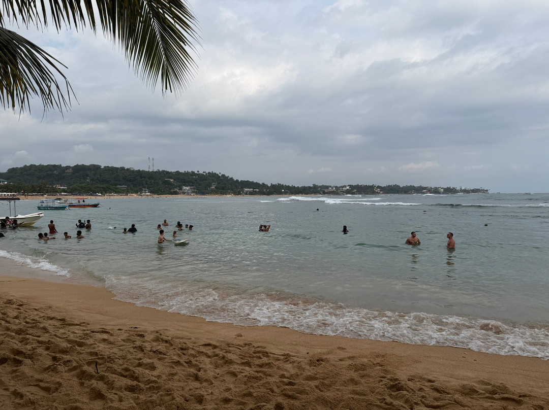 Private Circle Tours Sri Lanka-Elpitiya必去景点