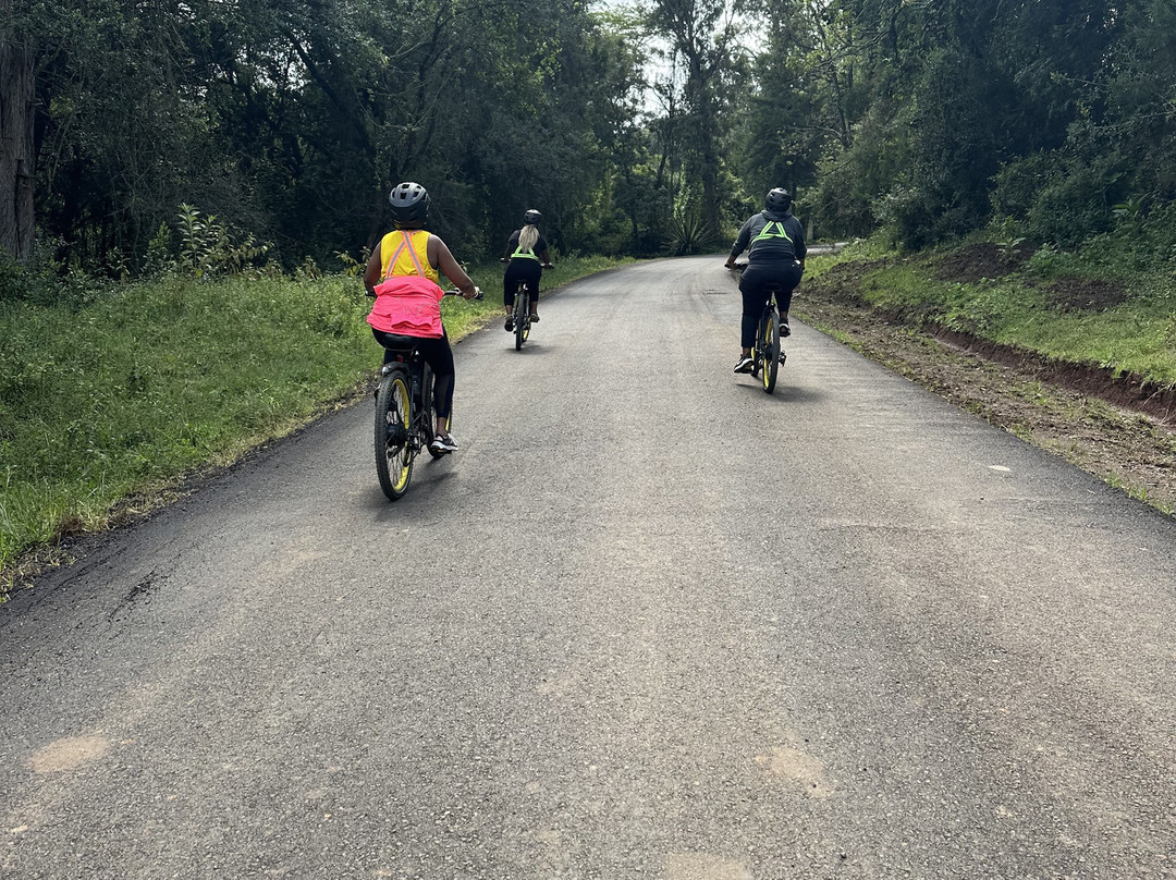 Paiskeli E-bike-南由基必去景点