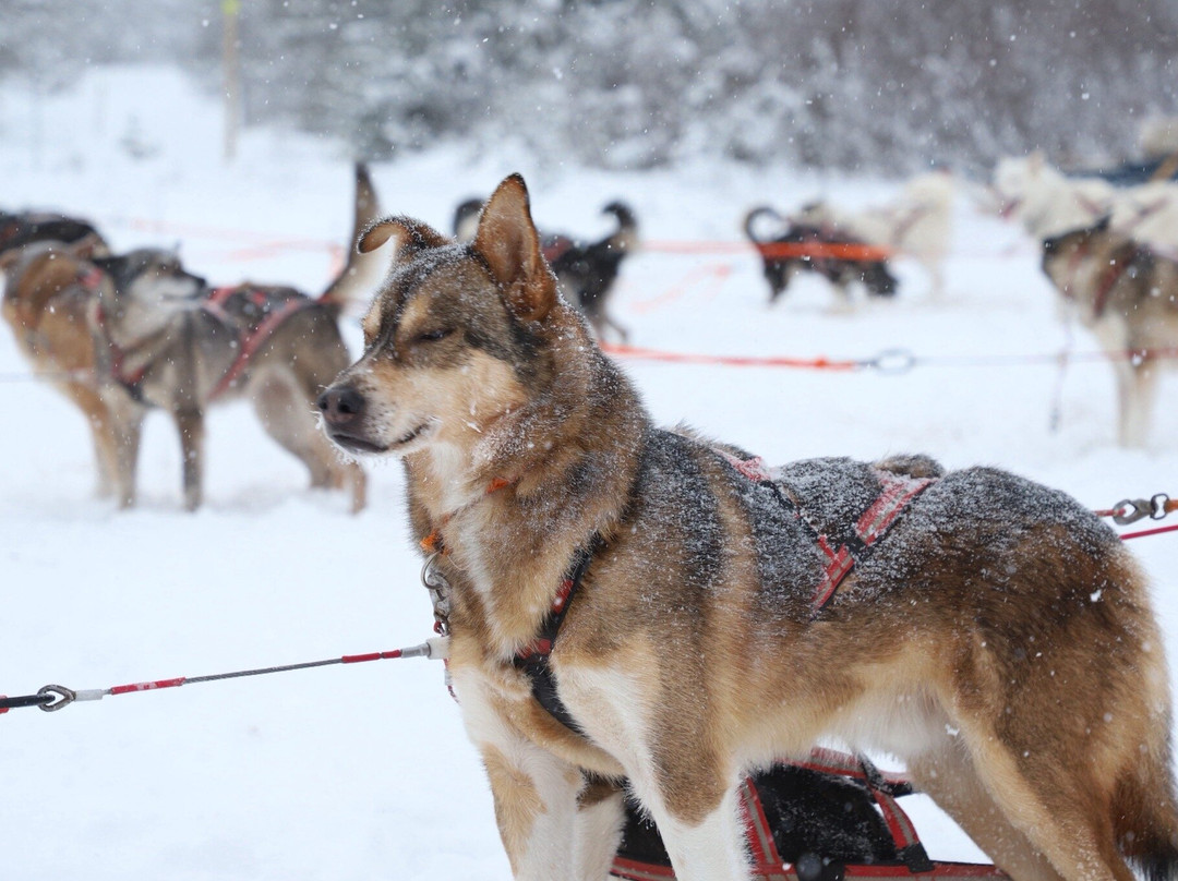 Fjallaventyr-Salen必去景点
