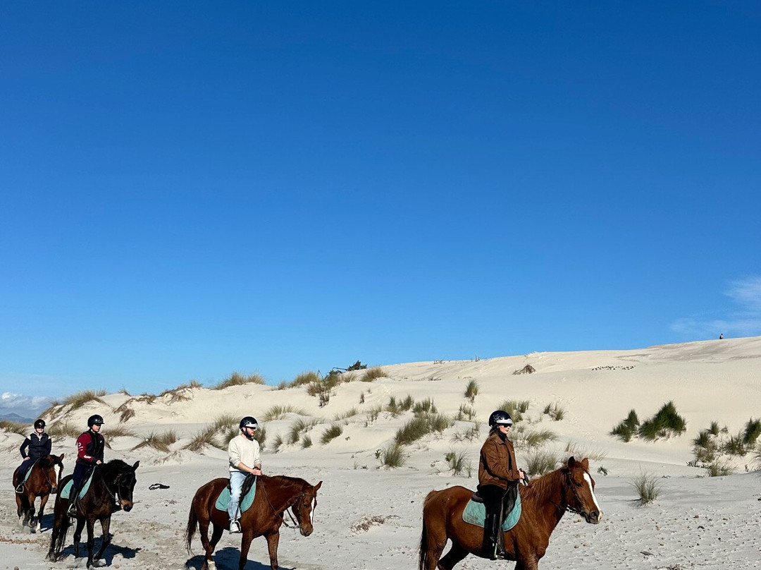 Centro Ippico Meurreddus a Cuaddu-San Giovanni Suergiu必去景点