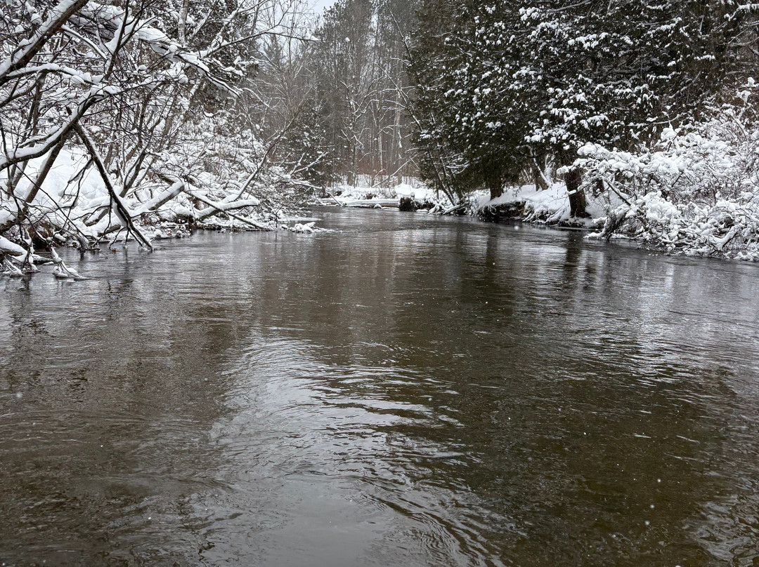 Pine River Paddlesports Center-Wellston必去景点