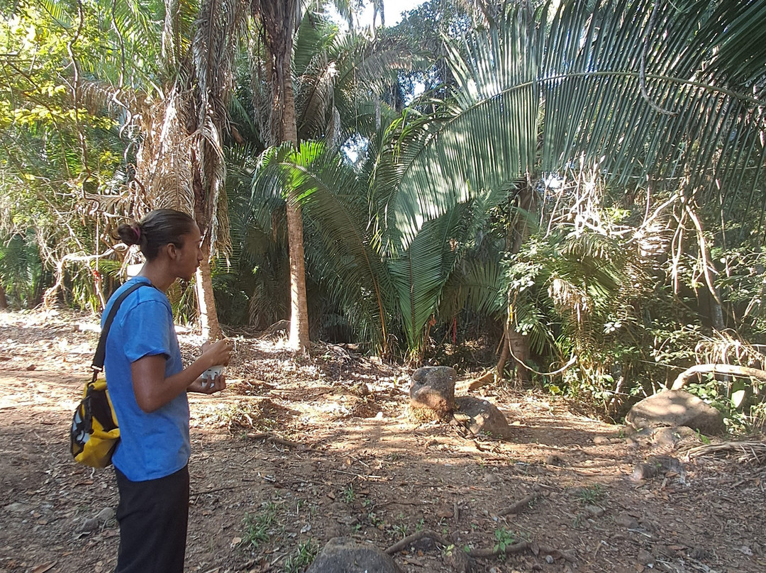 Mystic Embrace-Chacala必去景点