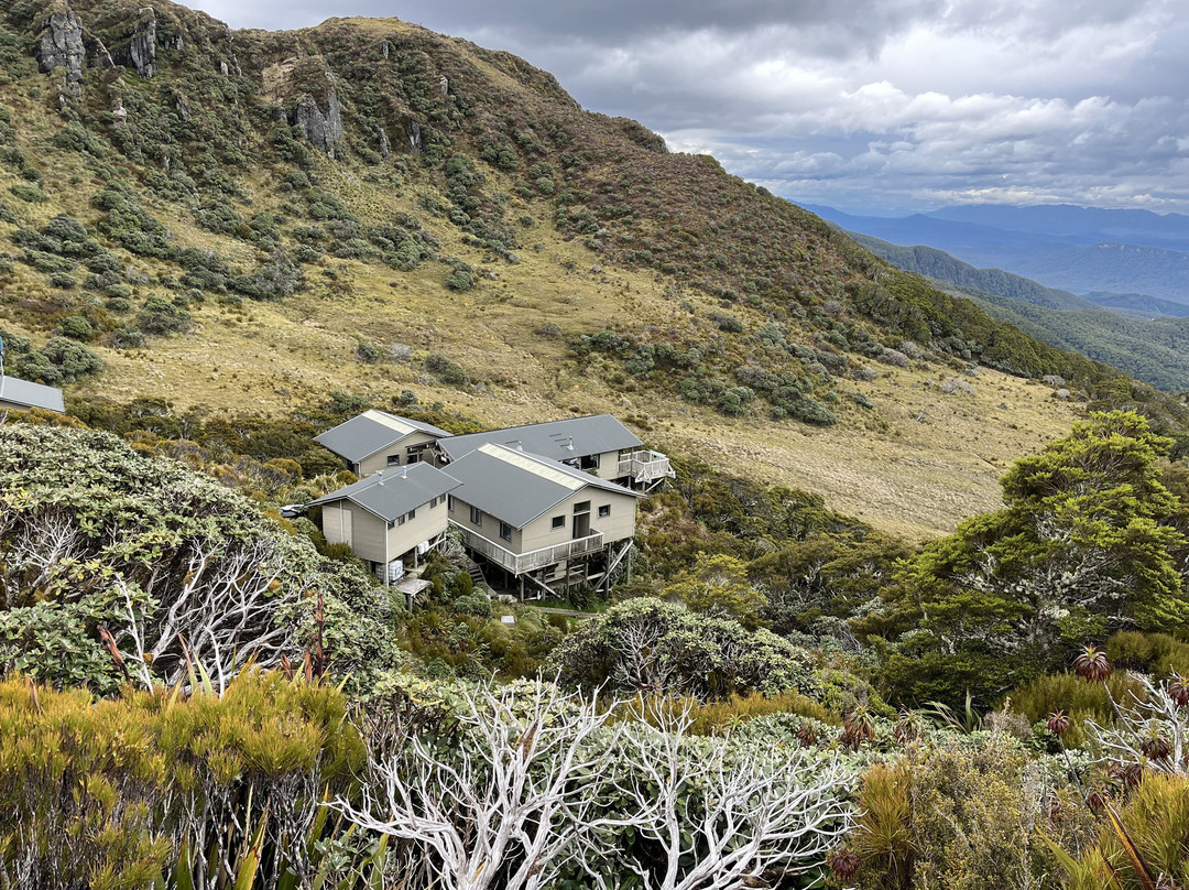 Hump Ridge Track-Tuatapere必去景点
