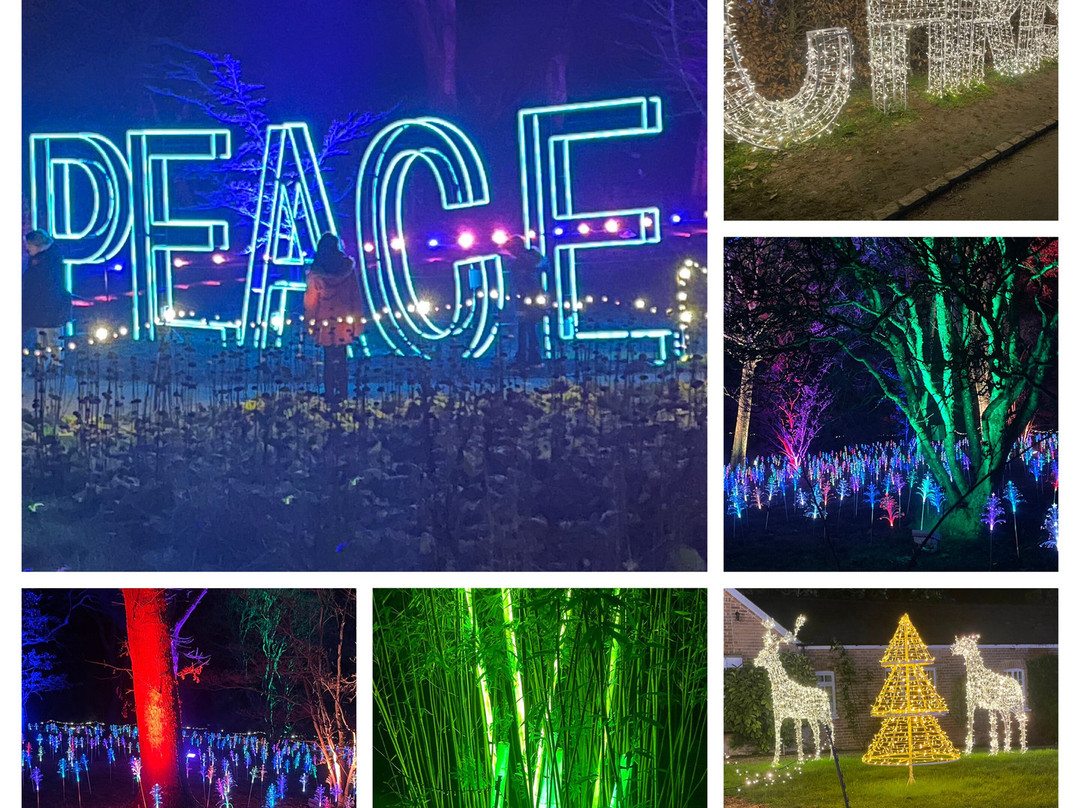 Light Up Trails-罗姆西必去景点