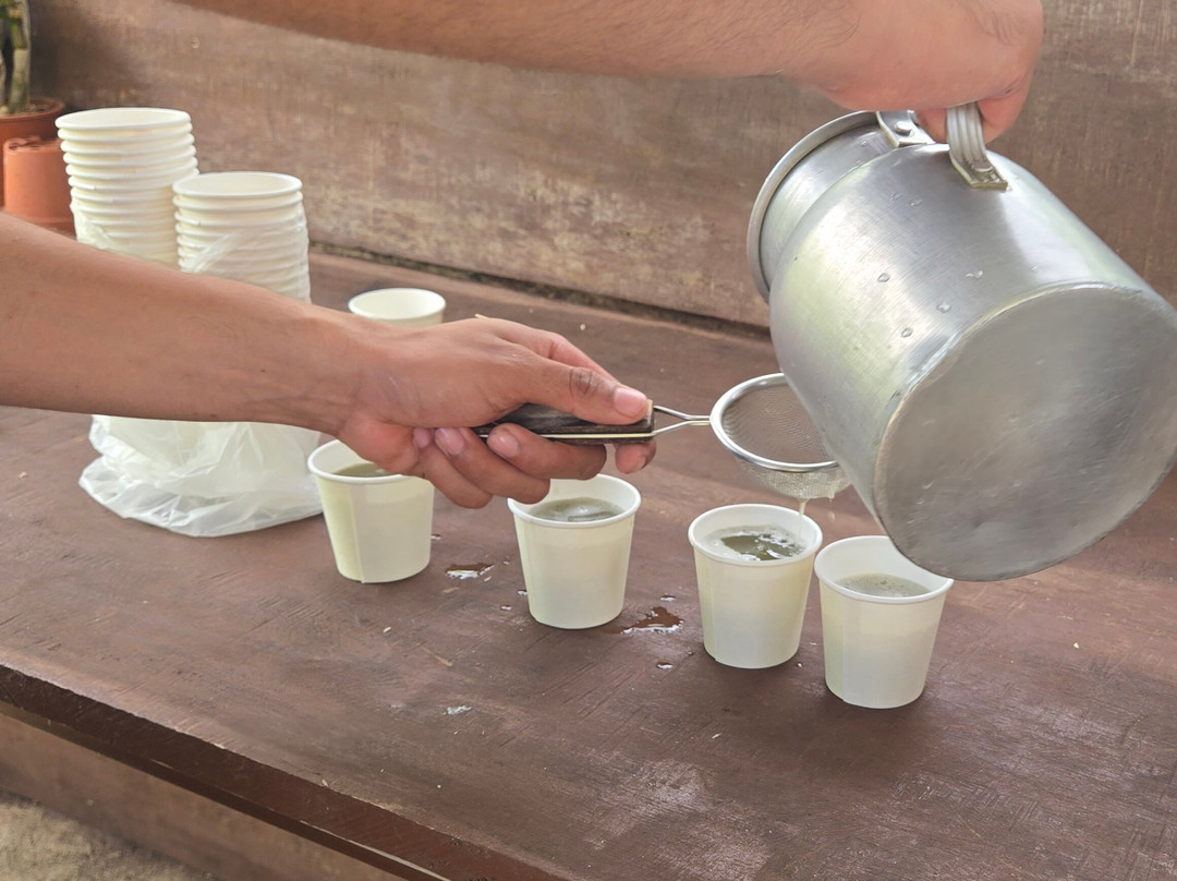 Cafe & Cacao Tour Bijagua-Bijagua de Upala必去景点