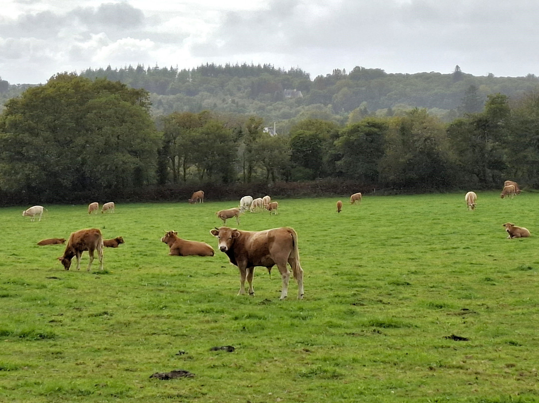 Circuit du Menhir à Berrien-Berrien必去景点