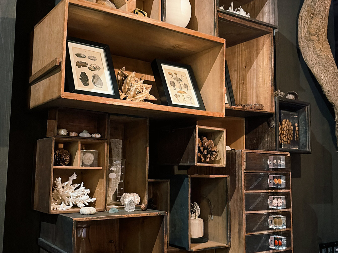 Usaginonedoko Kyoto Shop-京都市必去景点