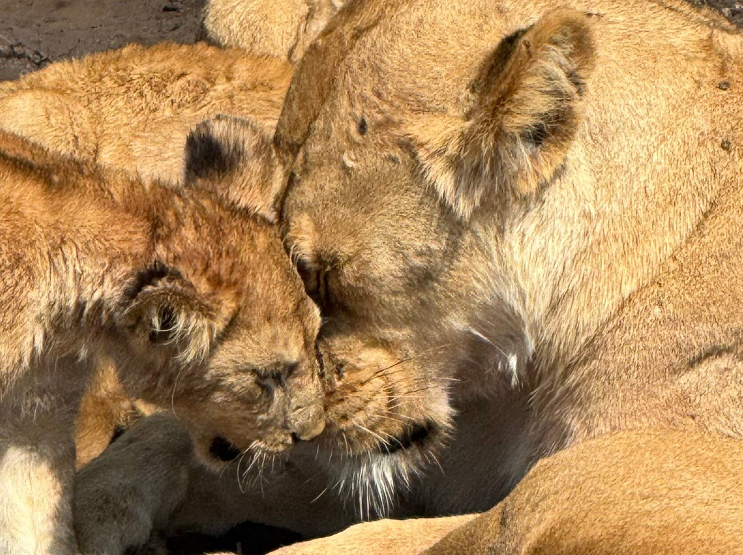 Serengeti National Park