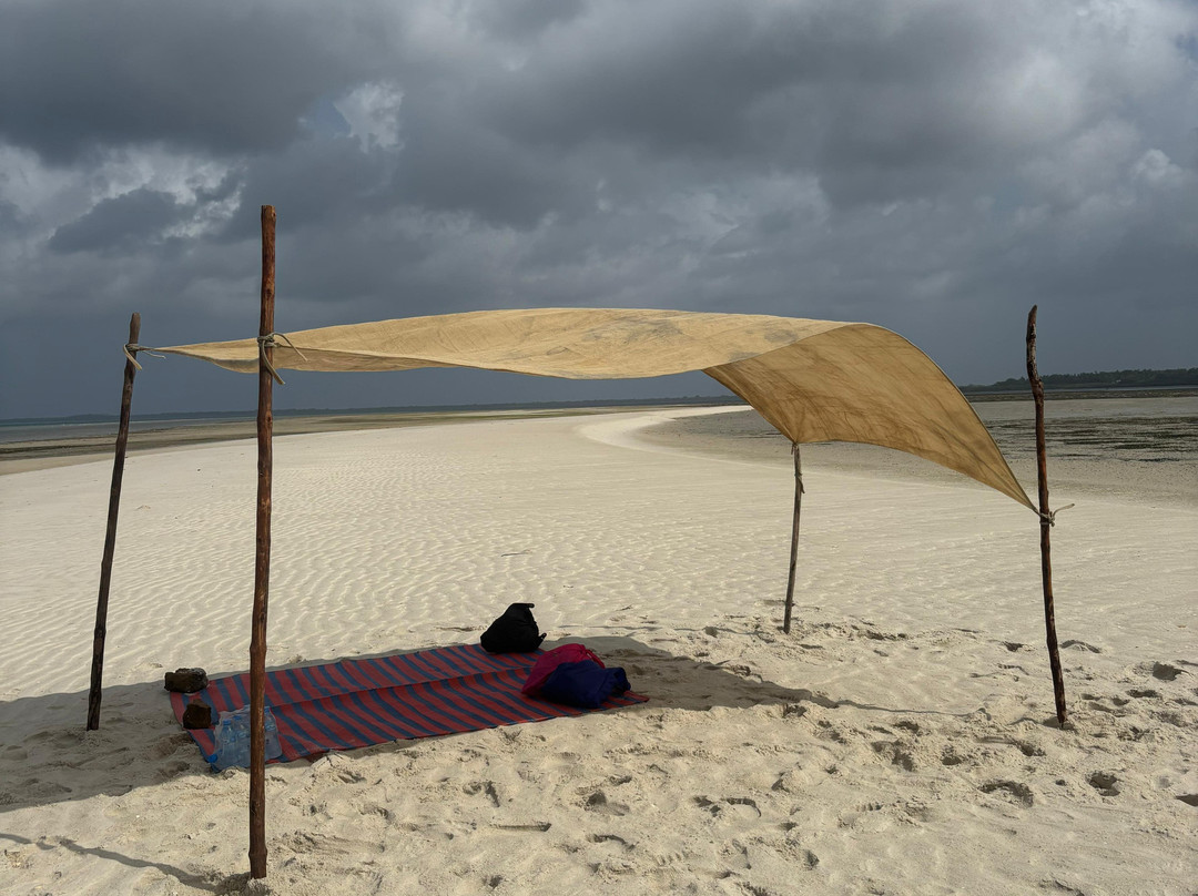 Mafia Whale Shark Tours-Kilindoni必去景点