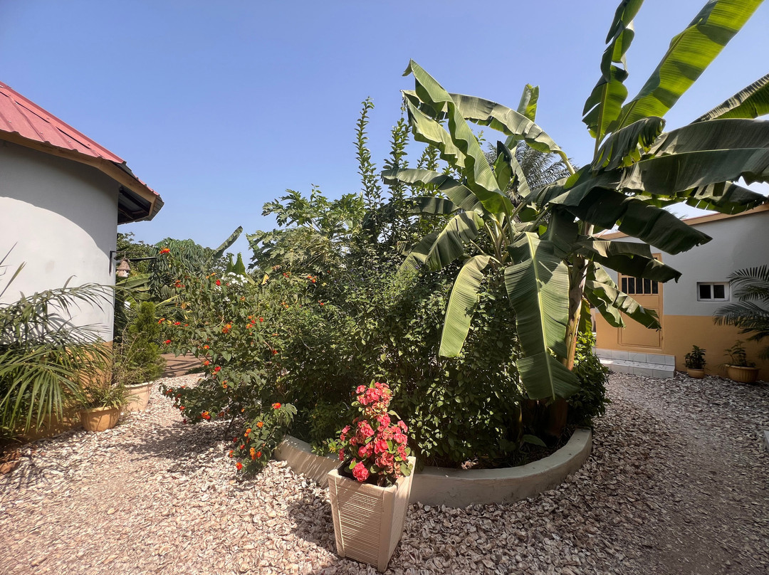 Senegambia Birding-Mandinari必去景点