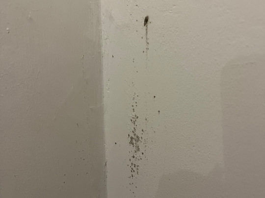 The Plough Inn主图