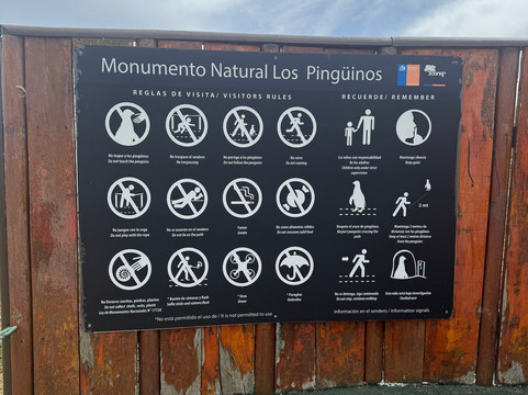 isla magdalena-蓬塔阿雷纳斯必去景点