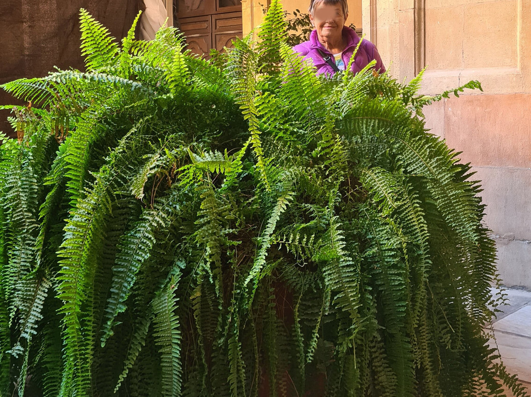 Episcopal Palace of Murcia-穆尔西亚必去景点