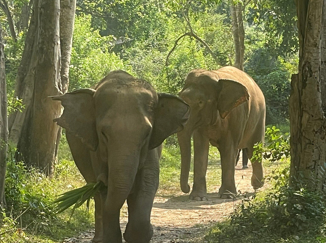 Elephant Haven-柿约必去景点