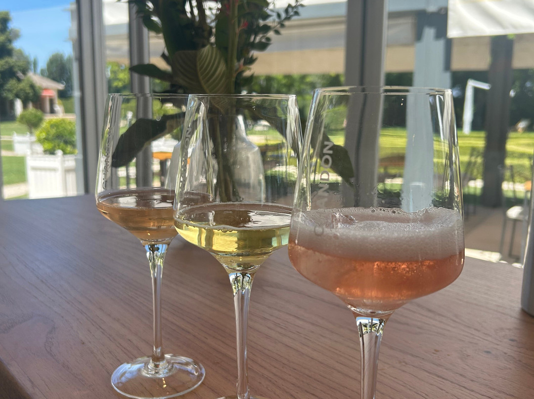 Bodega Chandon-阿格雷洛必去景点