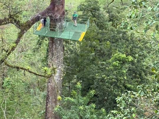 Ecoglide Arenal Park-福德圣卡洛斯必去景点