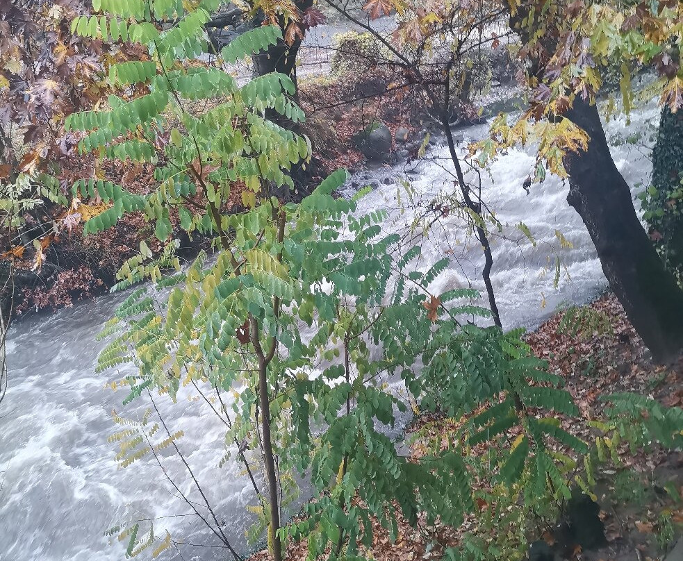 Family Hotel Edia-Sandanski主图