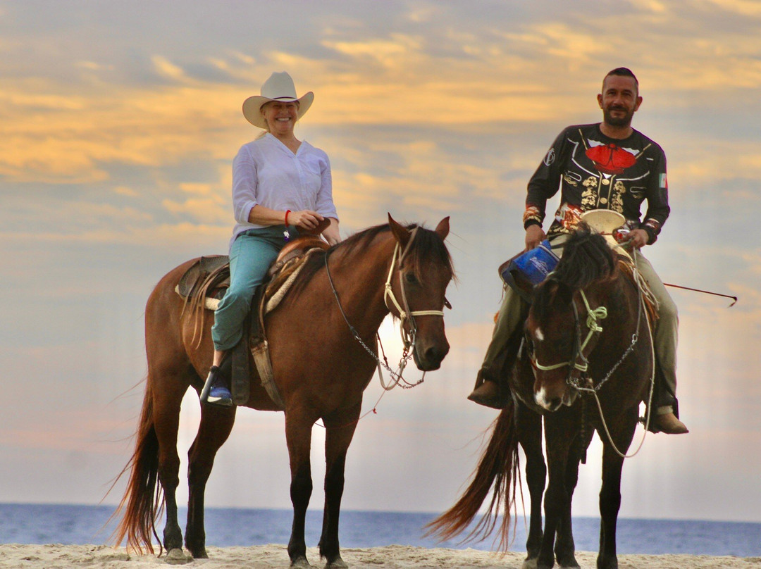 Vista Paraiso - Day Tours and Activities-Higuera Blanca必去景点