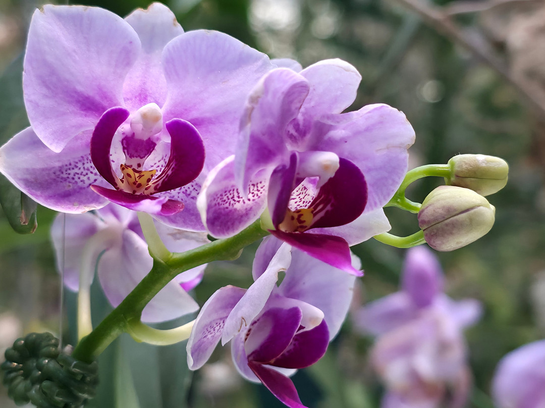 teamLab Planets TOKYO-Toyosu必去景点