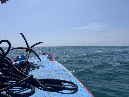 Black Elephanti Safaris-瓦塔木必去景点