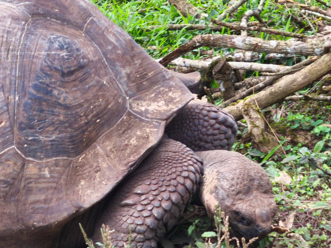 Reserva El Chato-阿约拉港必去景点