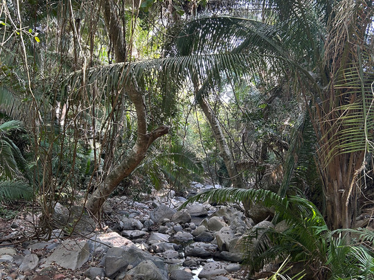 Mystic Embrace-Chacala必去景点