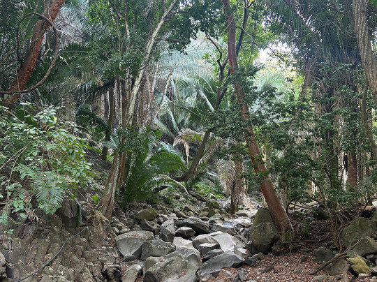 Mystic Embrace-Chacala必去景点