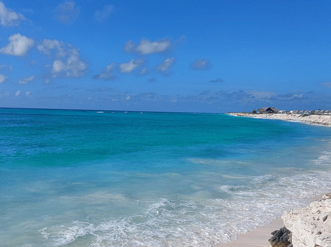 Starfish Cayo Largo主图