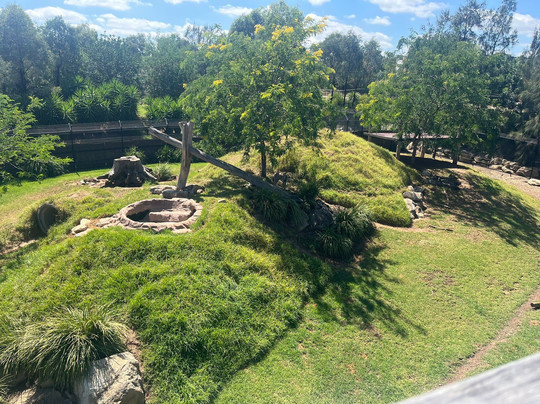 Sydney Zoo-布莱克敦必去景点