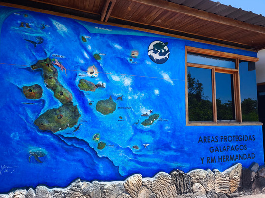 Charles Darwin Research Station-阿约拉港必去景点
