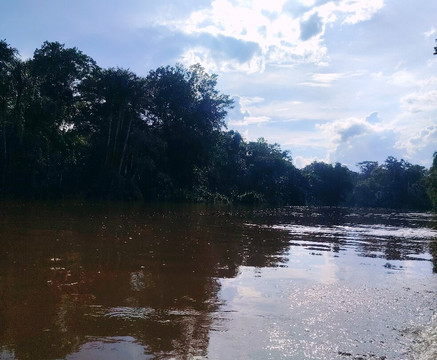 Parque Nacional Yasuni-Coca必去景点