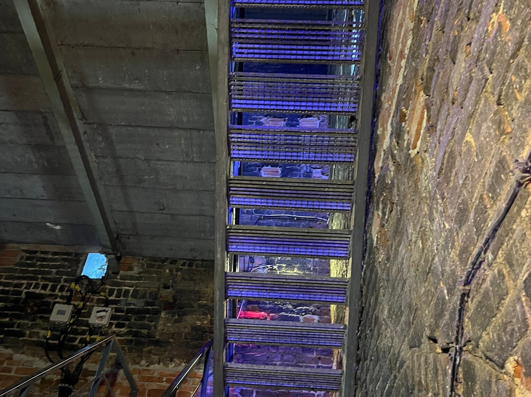 Most Pokutnic-弗罗茨瓦夫必去景点