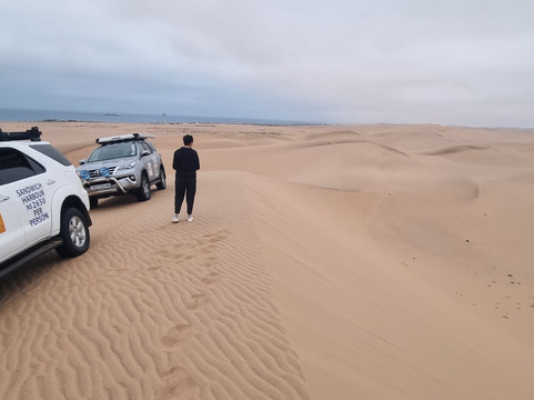 Dominus Dune Tours-Langstrand必去景点