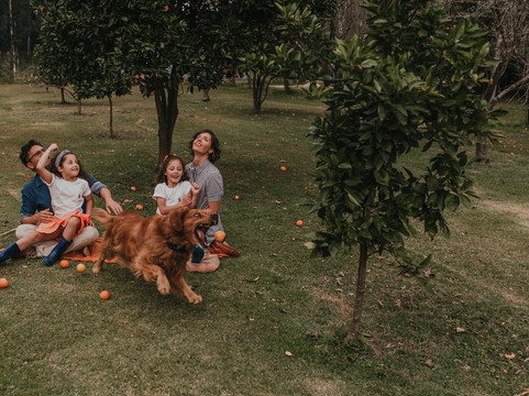 Vira Charme Resort主图