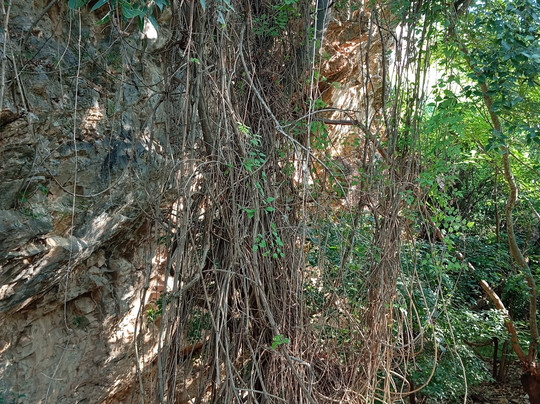 Vale of Tempe-Tempi必去景点