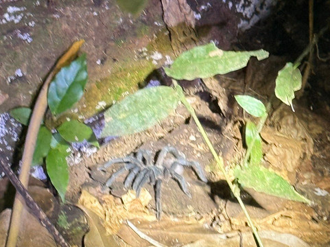 Caribe Fun Tours-旧港必去景点