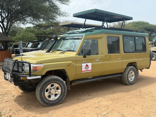 Pipit Safari-阿鲁沙必去景点