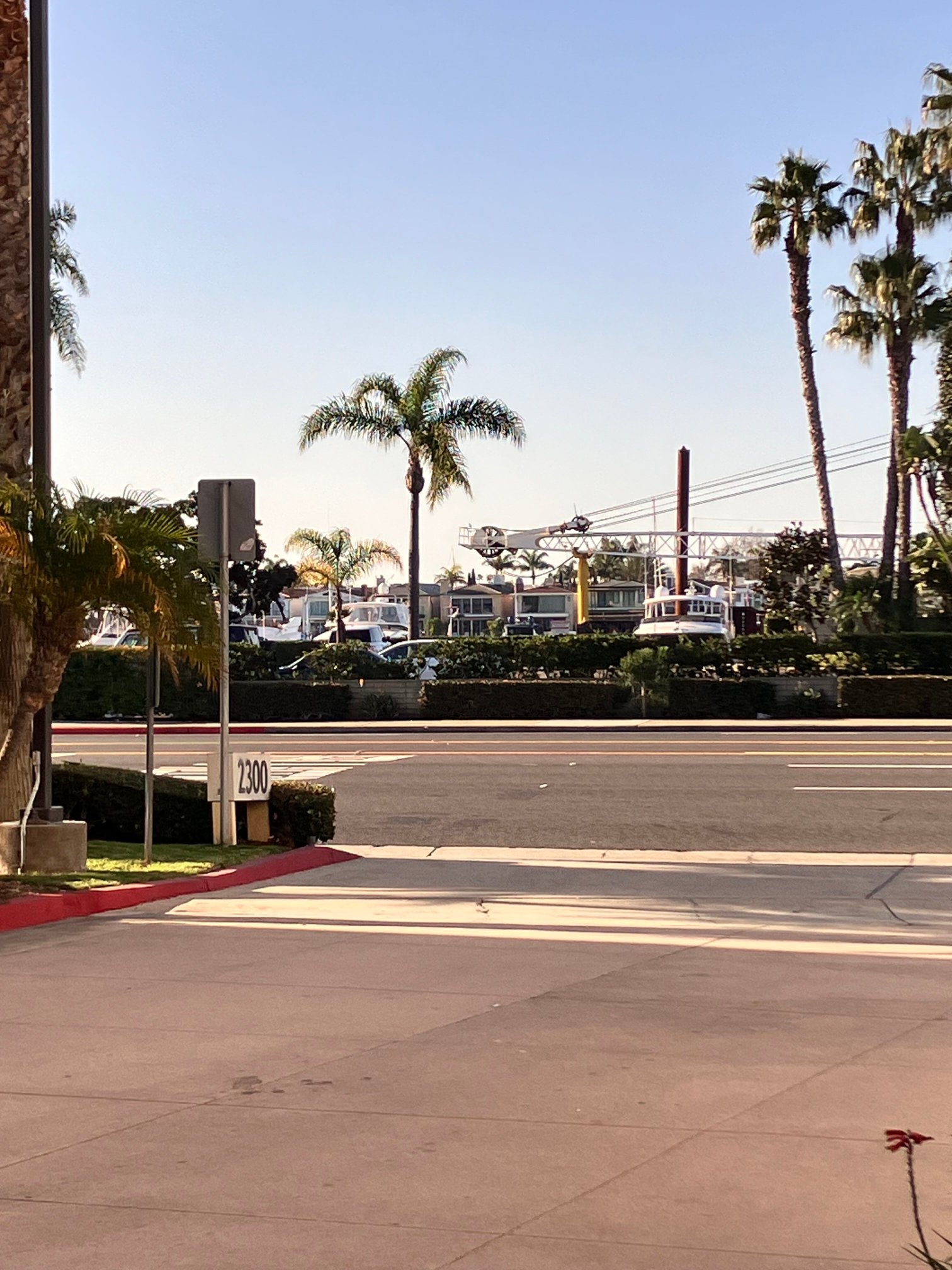 纽波特海滩智选假日酒店-酒店景观