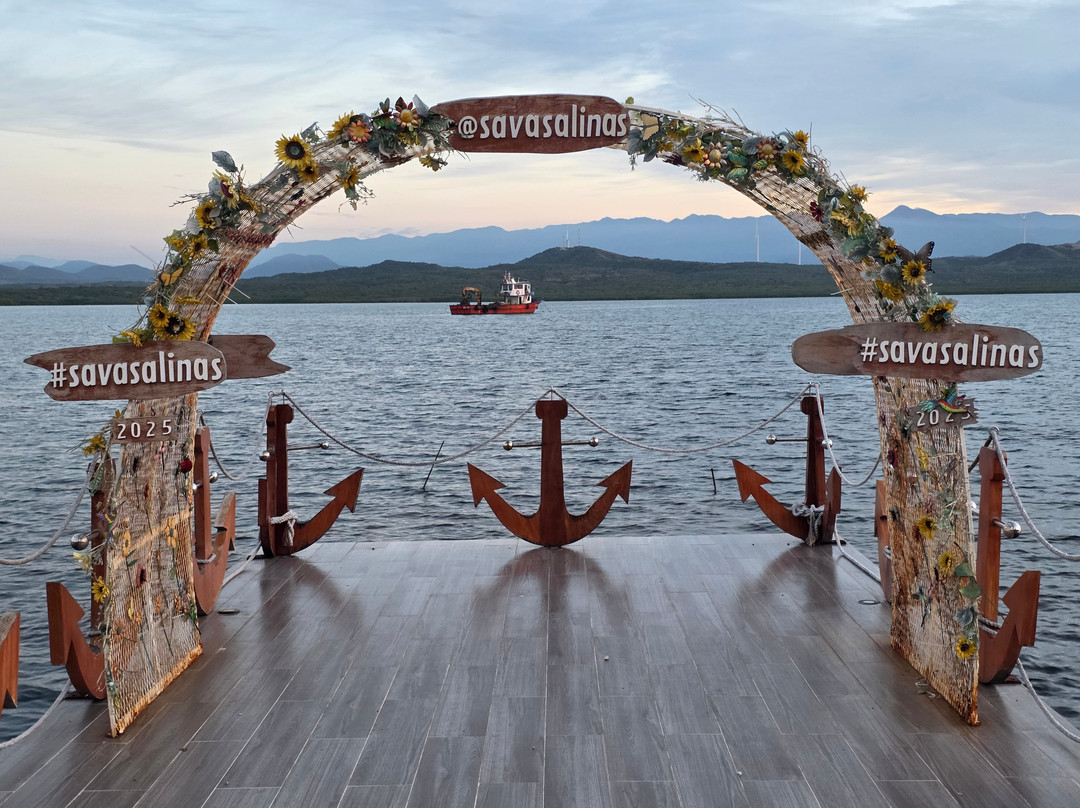 萨瓦萨利纳斯酒店主图