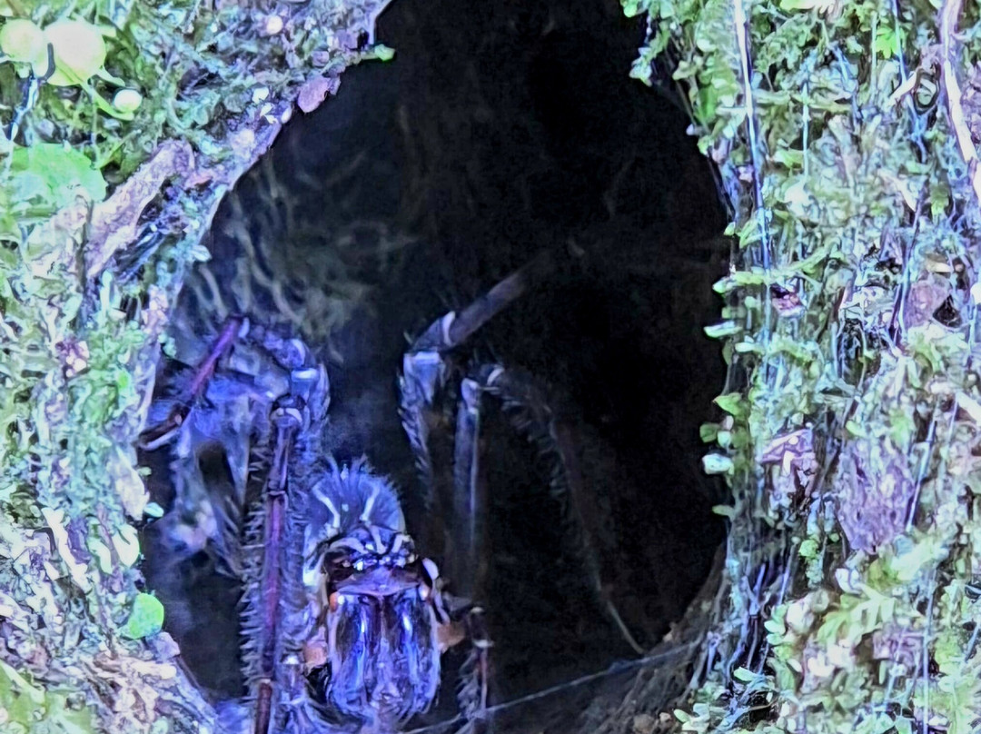 Costa Rica Decouverte-圣何塞必去景点