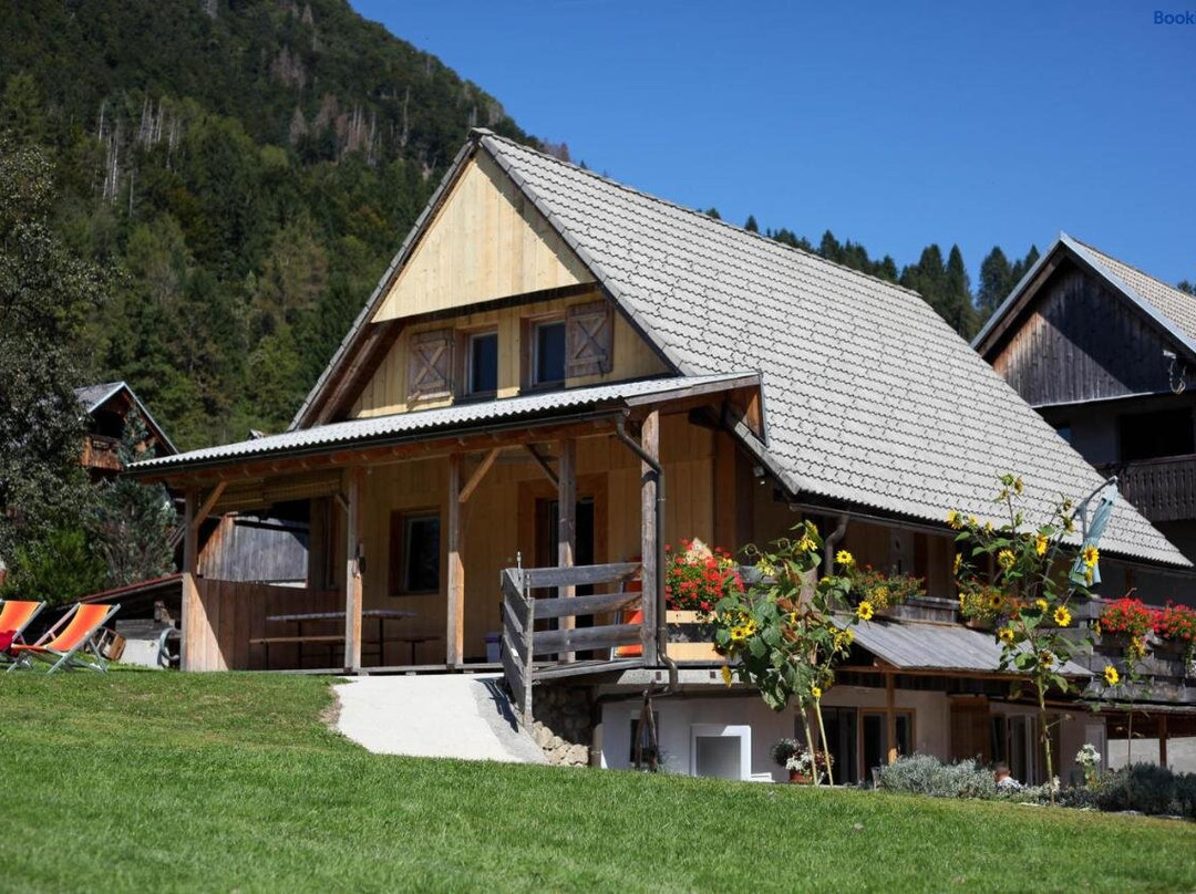 Apartmaji Pri Kozmavo - Little House