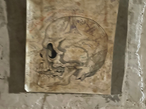 Fundo Los Nichos-Pisco Elqui必去景点