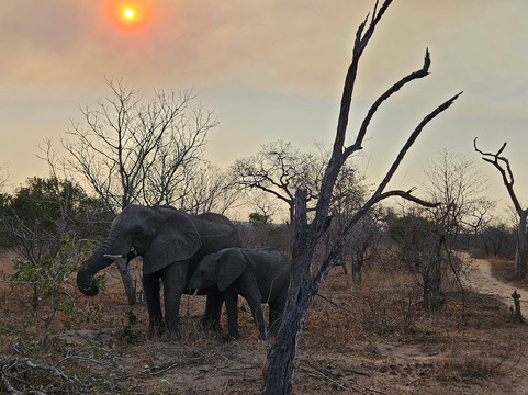 The Black Sheep Agency-开普敦中心区必去景点