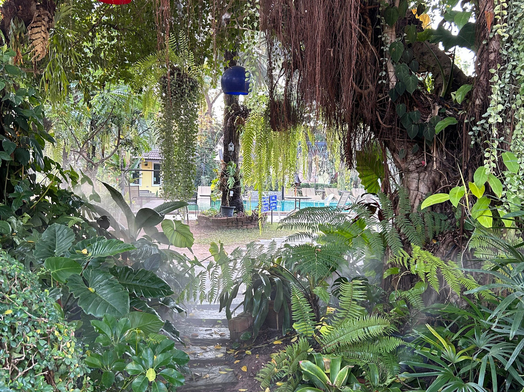 泳池公园度假村主图