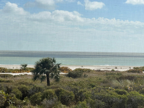 Sanibel Moorings主图